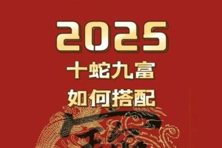 属蛇木命与哪些命相合，打造完美婚姻的秘诀