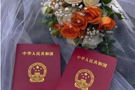 属兔之人：探寻五行中的独特命理以及生活智慧