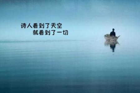 《命运的电视剧：每个选择都是一场冒险》