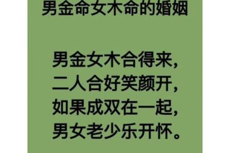 金命最佳木命排行及其特点分析