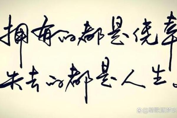 破解平步青云命:生活选择与机遇的艺术与智慧 破解平步青云命:生活选择与机遇的艺术与智慧