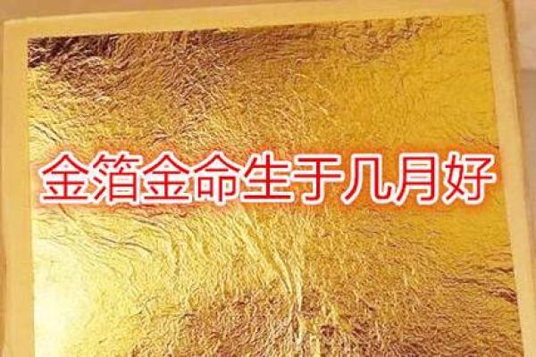 沙中土命与金命的完美契合：寻找最优良的命理组合