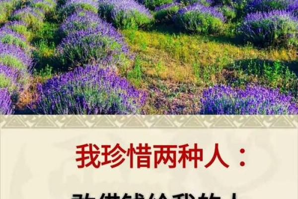 什么是包工命与老板命？揭示职业生涯中的两种人生轨迹！