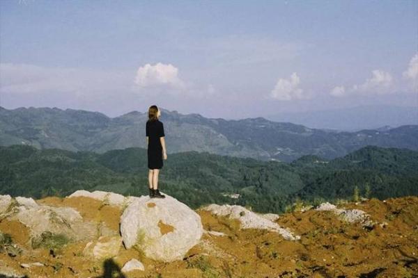 揭秘杨涛姓名背后的命理学含义与人生启示