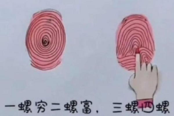 手指上的五个斗,揭示你命运的秘密 手指上的五个斗,揭示你命运的秘密