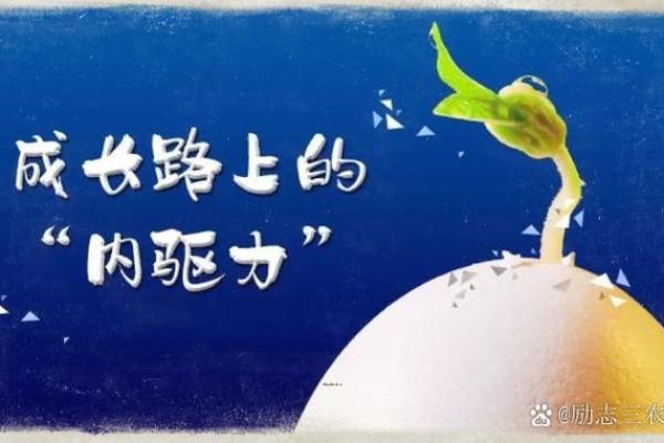 什么是造命改命？探寻自我改变的力量与智慧