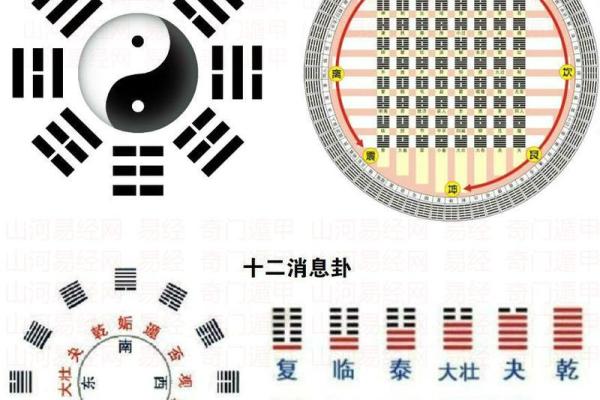 男命的伤官解析:神秘而富有魅力的命理之象 男命的伤官解析:神秘而富有魅力的命理之象