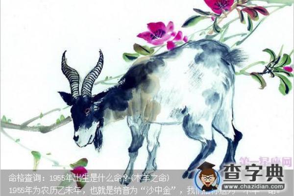 什么命能被称为富贵命格？从命理角度揭示成功的秘密