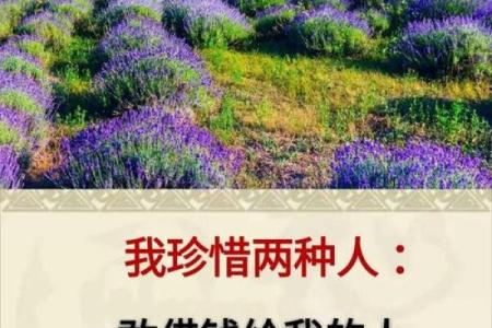 什么是包工命与老板命？揭示职业生涯中的两种人生轨迹！