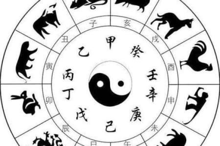 如何判断自己的命是什么命：探索命运与人生的奥秘