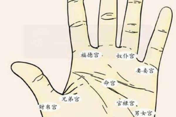 手指尖细的命理解析:解密命运与性格的关系 手指尖细的命理解析:解密命运与性格的关系