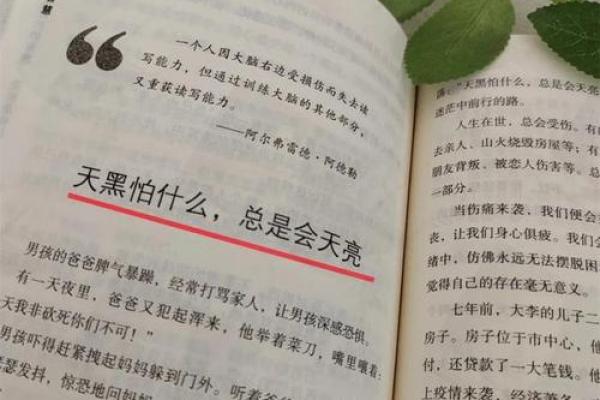 属鸡1981年五行命运解析：探索智慧与成功的密码