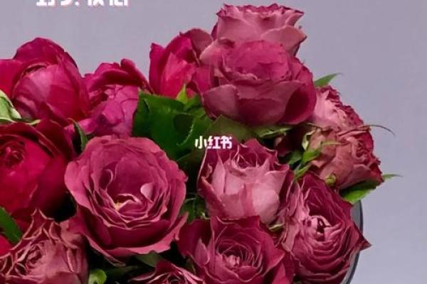 生命的意义与节日:探寻生活中的珍贵时刻 生命的意义与节日:探寻生活中的珍贵时刻