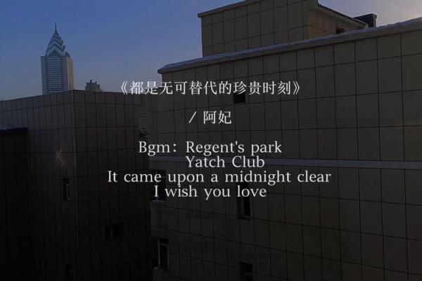 生命的意义与节日:探寻生活中的珍贵时刻 生命的意义与节日:探寻生活中的珍贵时刻