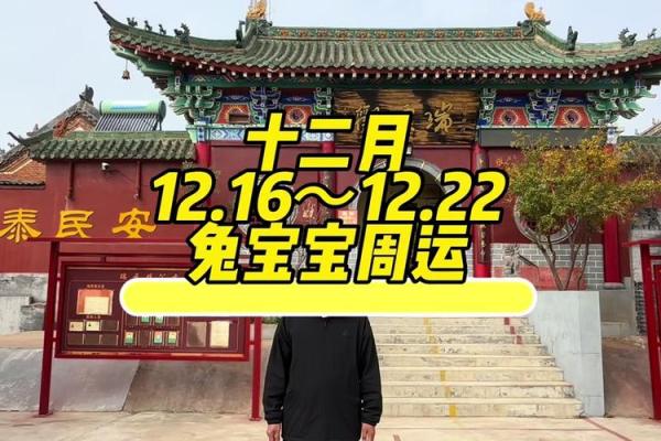 女生属兔前额有旋的命理解析与运势调整 女生属兔前额有旋的命理解析与运势调整