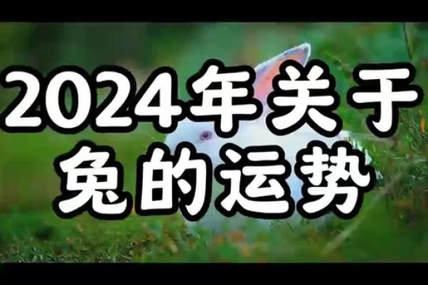 女生属兔前额有旋的命理解析与运势调整 女生属兔前额有旋的命理解析与运势调整