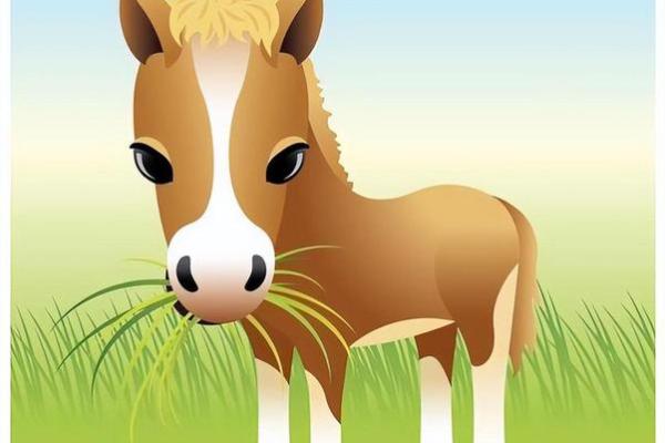 属马2021年运势解析：哪些命格更具优势？