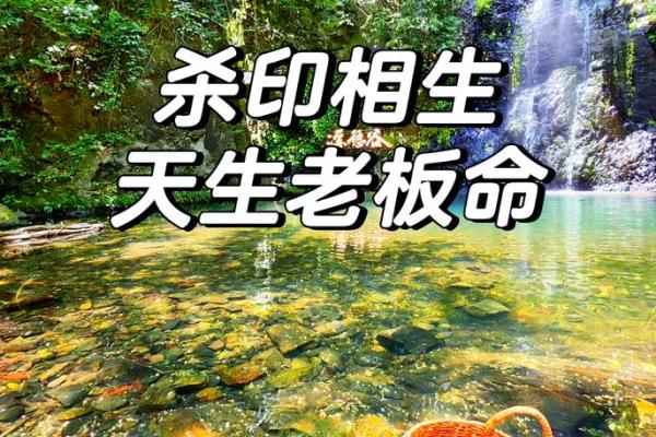 揭秘山头火命男的命理与人生智慧 揭秘山头火命男的命理与人生智慧