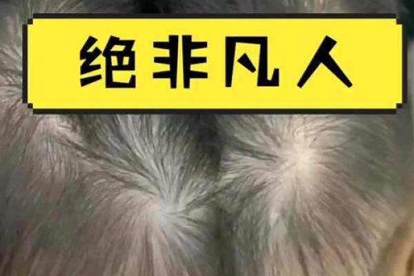 十个手指的漩涡：命运的微妙暗示