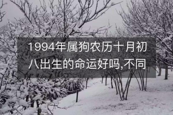 属狗的人生解析：1970年出生的命运如何？