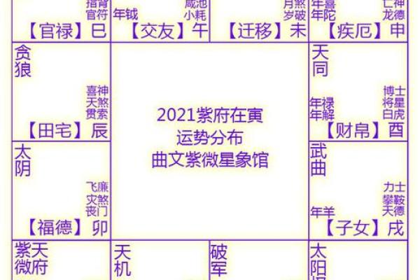 属蛇者2022年星象解析:吉凶变化与运势提升之道 属蛇者2022年星象解析:吉凶变化与运势提升之道