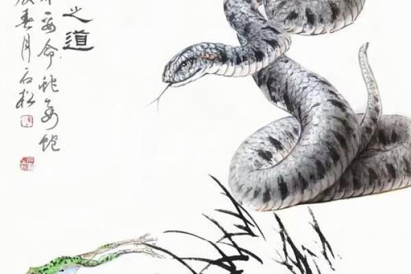 揭秘真蛇命：不同月份出生的蛇性格与命运