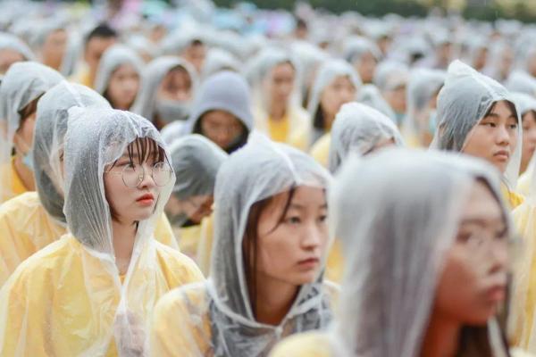 属虎的人生轨迹：勇敢与磨炼交织的精彩篇章