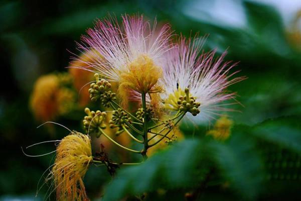 八字揭秘:水性杨花女命的特点与命理解析 八字揭秘:水性杨花女命的特点与命理解析