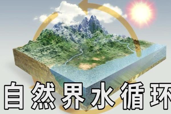 属虎大溪水命的运势与缺失分析:找到生命的平衡之道 属虎大溪水命的运势与缺失分析:找到生命的平衡之道