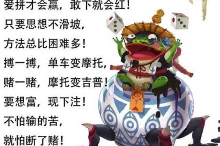 十赌九输，命中注定的“赌狗”——探秘狼蛛的生存之道