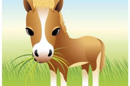 属马2021年运势解析：哪些命格更具优势？