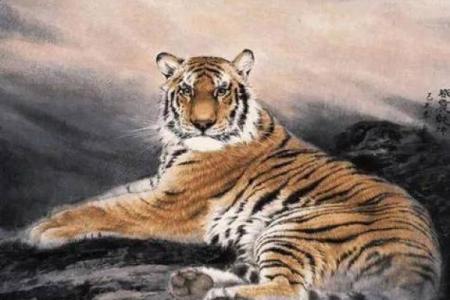 属虎女性的命运色彩：哪些颜色能为你带来好运？