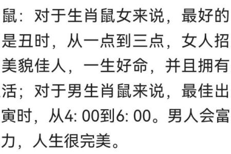 生辰属狗之命：揭示狗年出生者的命理特征与人生轨迹