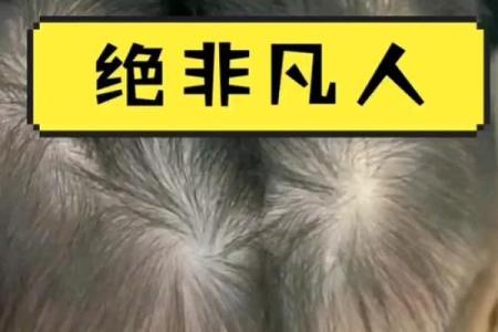 十个手指的漩涡：命运的微妙暗示