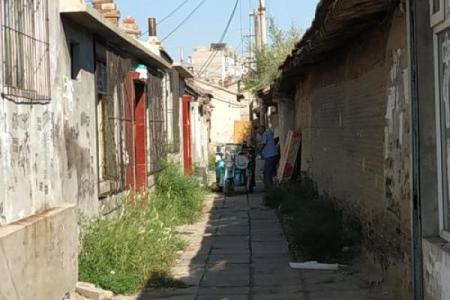 生肖马的三生三世：命运的旅程与灵魂的追寻