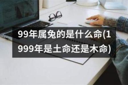 属兔97年生人是什么命？揭开命运的神秘面纱