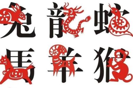 生肖鸡的五行之谜：揭开命运的神秘面纱