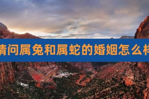 属兔男一月出生:命运与性格的完美交响曲 属兔男一月出生:命运与性格的完美交响曲