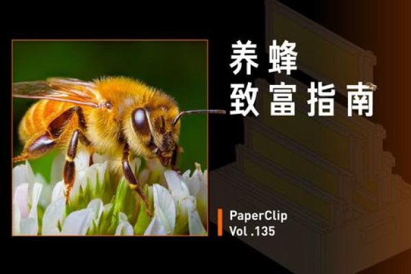32岁男属马,解析最佳命运与生活指南 32岁男属马,解析最佳命运与生活指南