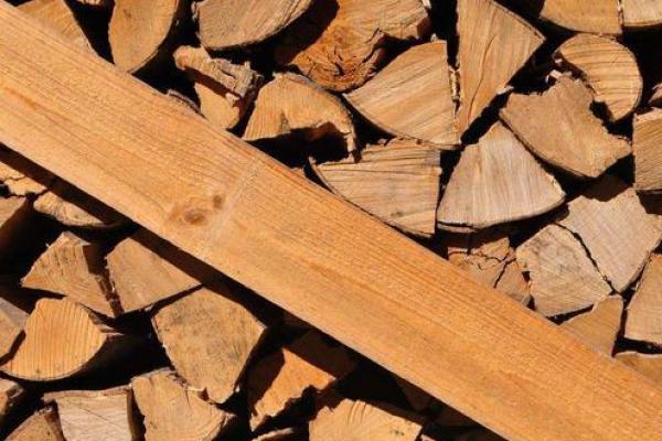 深入解析木命与多木命的关系：你属于哪一类？