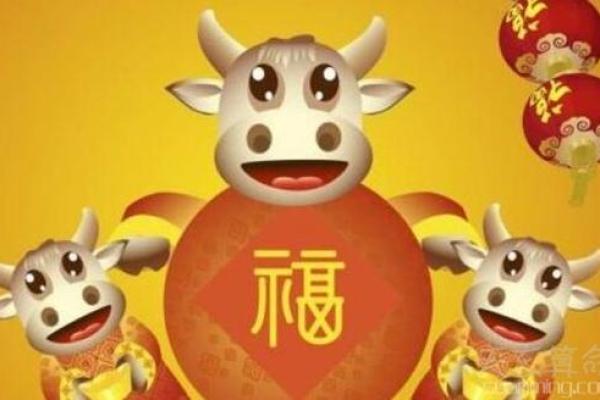 属牛与属龙的命理解析:在岁月长河中探索人生的奥秘 属牛与属龙的命理解析:在岁月长河中探索人生的奥秘