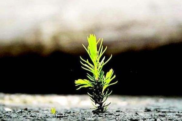 揭秘女命金库的深刻含义与人生影响 揭秘女命金库的深刻含义与人生影响