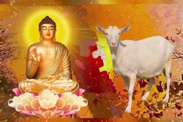 属羊人42岁命运解析:阐释财富、事业与人际关系的奥秘 属羊人42岁命运解析:阐释财富、事业与人际关系的奥秘