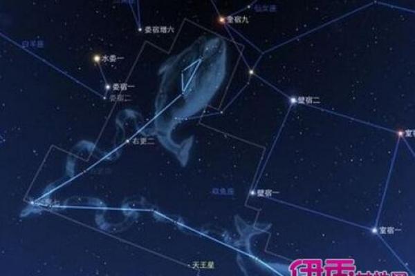 属羊人过了43岁后的人生转折与命运启示 属羊人过了43岁后的人生转折与命运启示