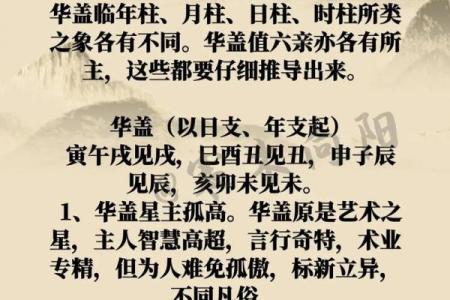 男人二黑坤命的命理解析与人生智慧