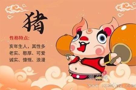 属猪1995年出生的人命运解析：从五行看你的未来与机会