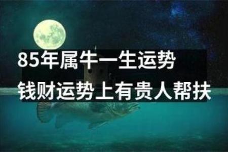 属牛8月出生的人：命理解析与人生运势展望