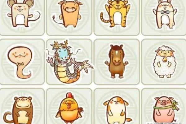 属相龙头兔尾女命,命运与性格的深度解析 属相龙头兔尾女命,命运与性格的深度解析