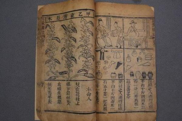 女木命如何选择理想的命伴侣?探寻命理之美 女木命如何选择理想的命伴侣?探寻命理之美