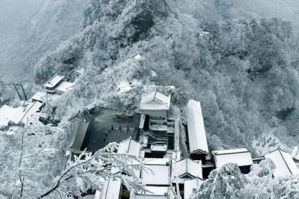 揭秘人封山虎命的奥秘与人生解析 揭秘人封山虎命的奥秘与人生解析